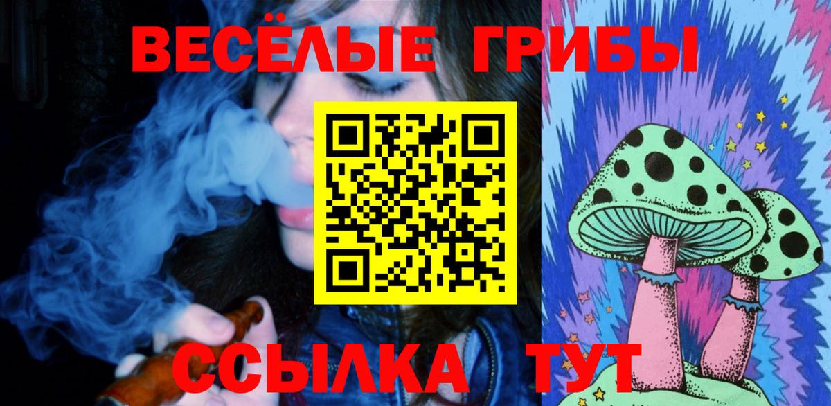 Великий Устюг  Галлюциногенные грибы Psilocybine cubensis  Вход с VPN 